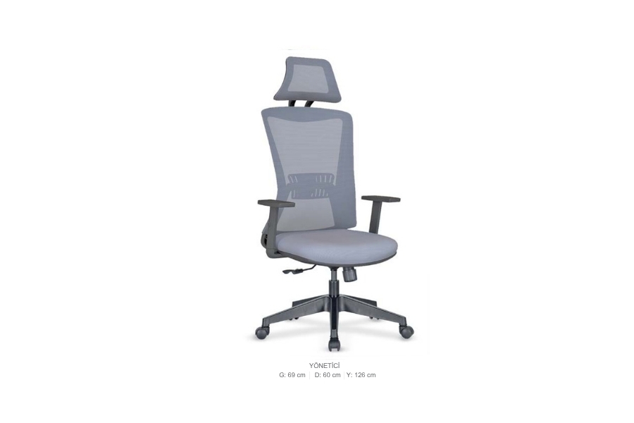 Yönetici ve Çalışma Koltukları